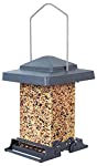 WoodLink Audubon 75160 6 Lb Capacity Vista Squirrel Proof Bird Feeder