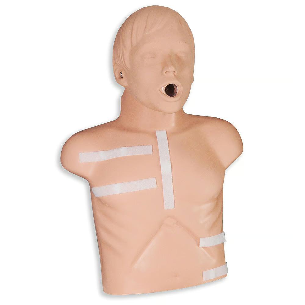 Zoll AED Plus Demo Manikin | CPR-8000-0835-01