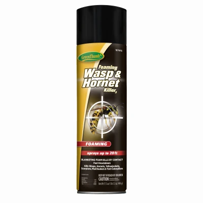 Powerful 17.5 Oz Foaming Wasp & Hornet Insecticide Spray