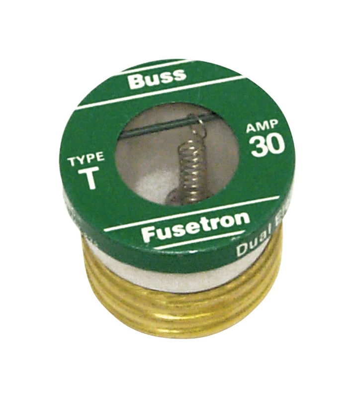 30a T Time-delay Plug Fuse (2-pack)