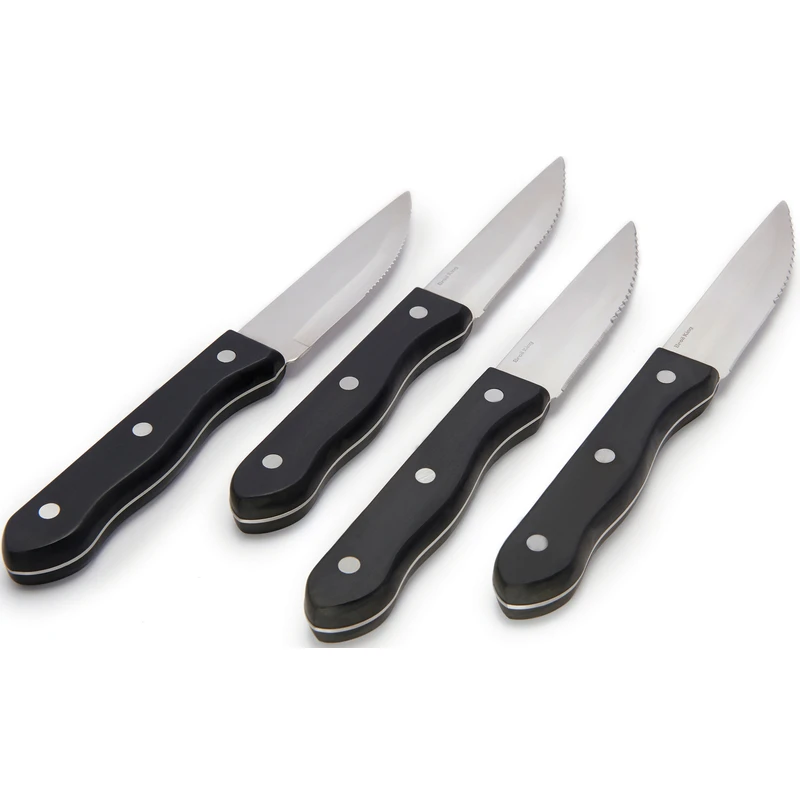 4-piece Stainless Steel Steak Knife Set With Resin Handles