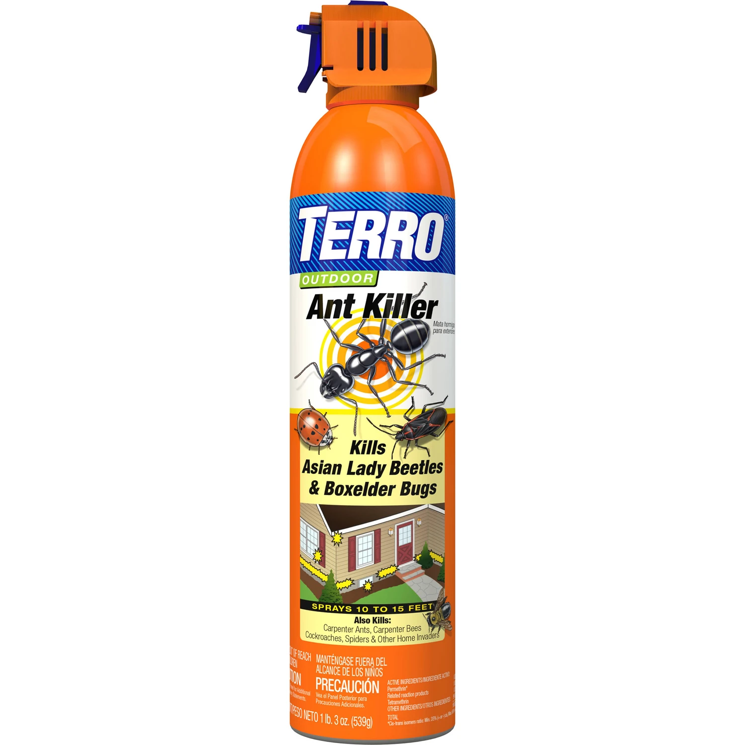 19 Oz. Aerosol Spray Outdoor Ant & Roach Killer