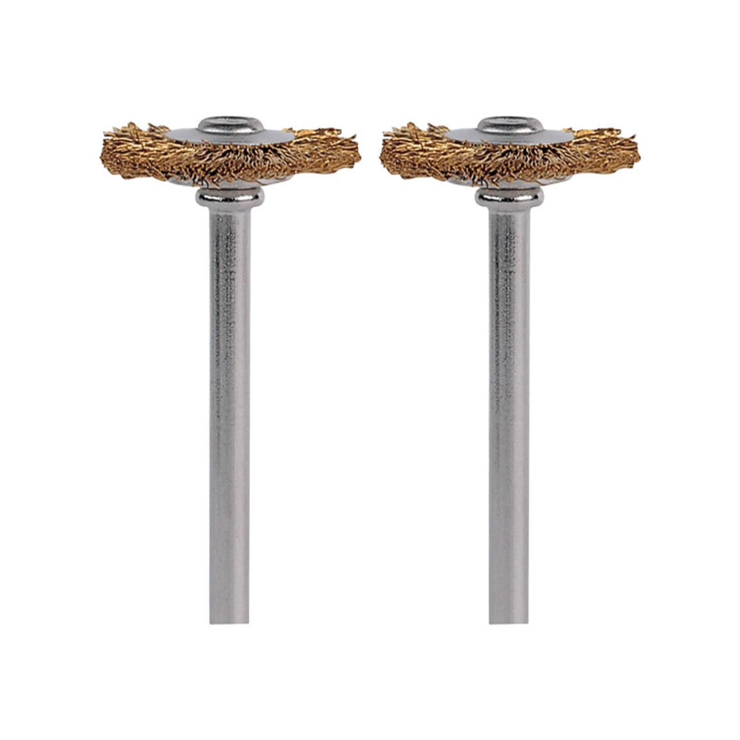 Brass Brush, 3/4 In., 2-pk.