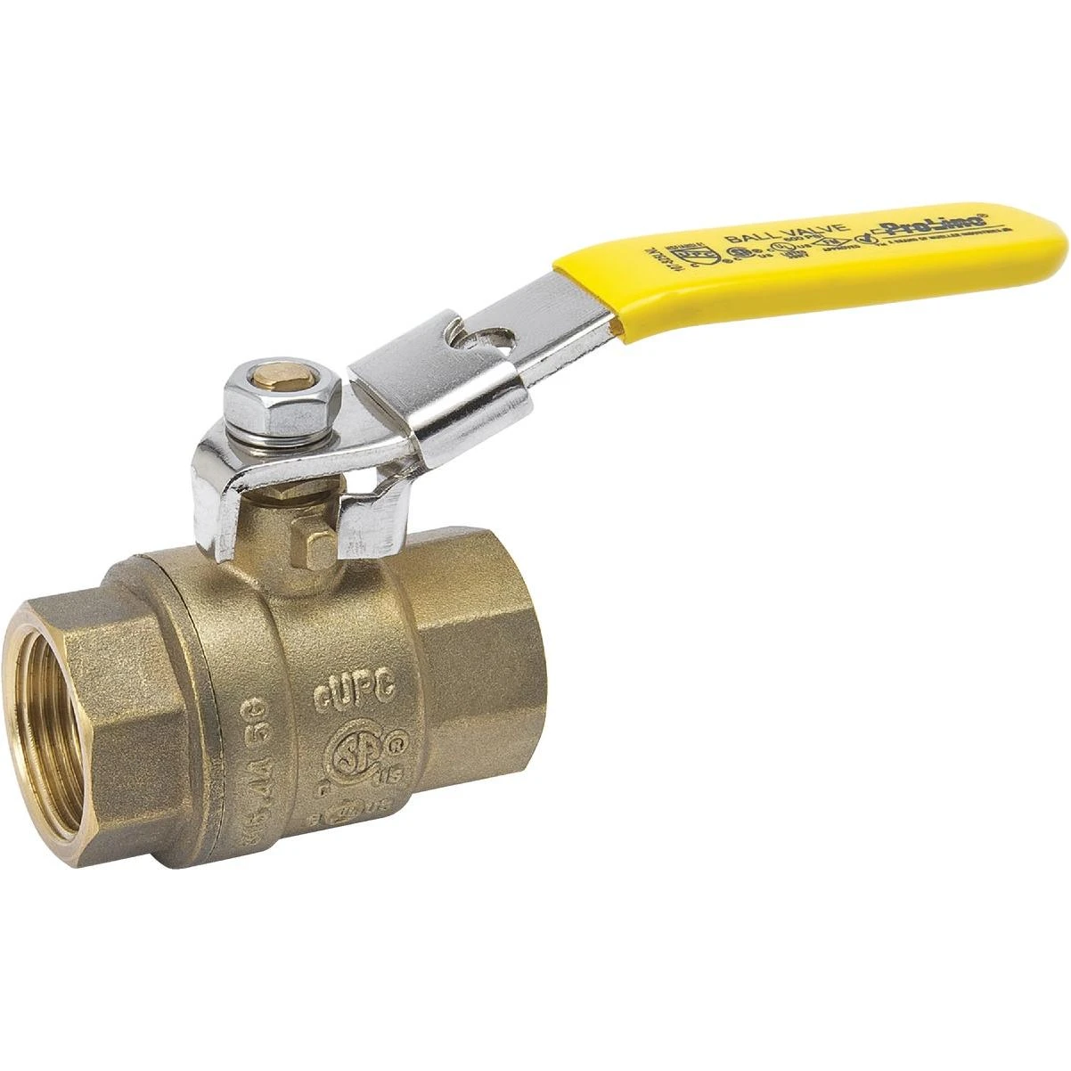 Proline 1in. Fip X 1 In. Fip Brass Locking Ball Valve