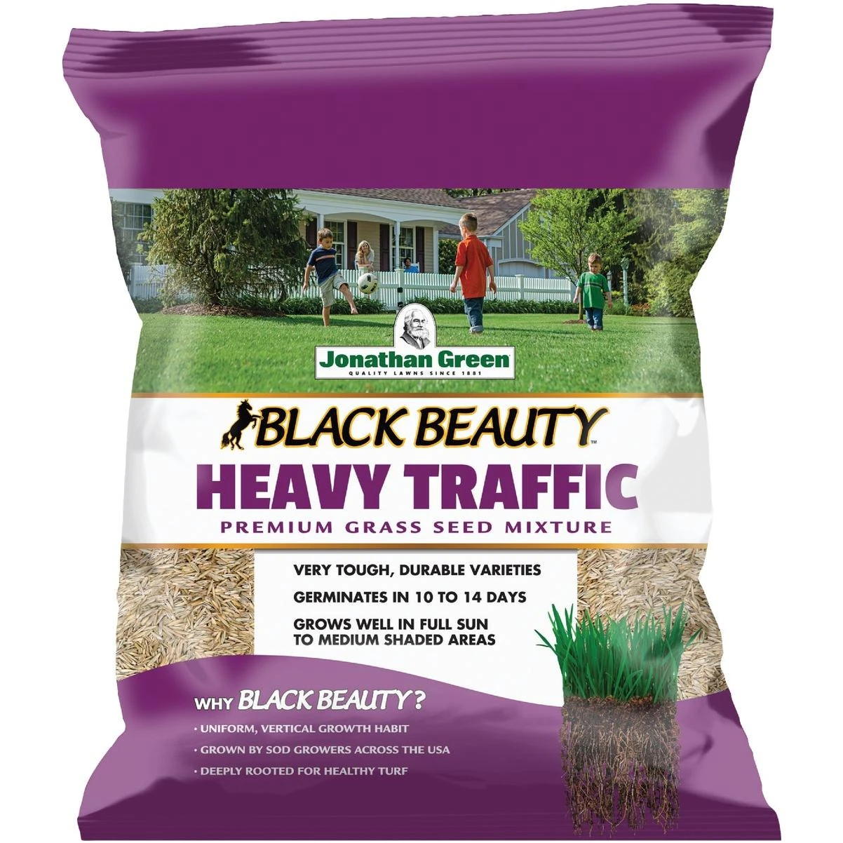 Black Beauty Heavy Traffic 3 Lb. 600 Sq. Ft. Coverage Grass Seed