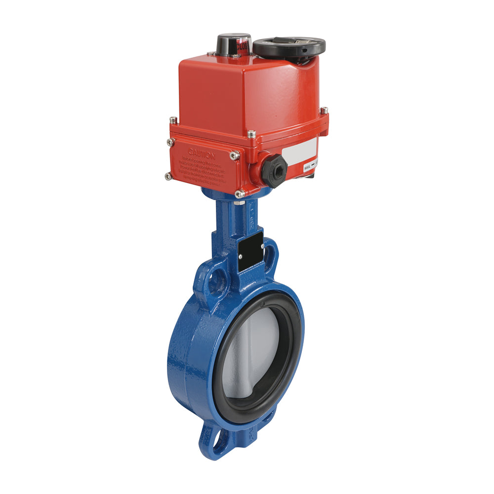 Electric Butterfly Valve DN65 120-240V AC/DC Lug GGG40 EPDM Drinking water AG5