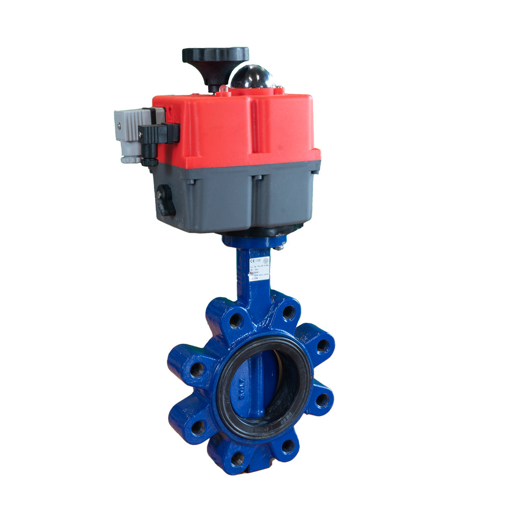 Electric Butterfly Valve DN125 24-240V AC/DC Fail-Safe Lug GGG40 FKM J+J