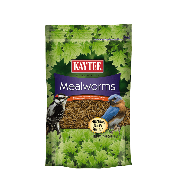 Kaytee Mealworms